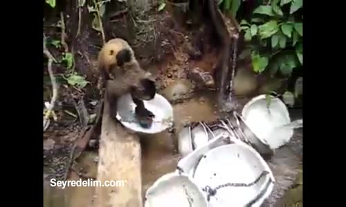 Bayanlar Bunu İzlemesin