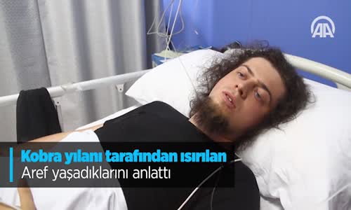 Kobra Yılanı Tarafından Isırılan Aref Yaşadıklarını Anlattı
