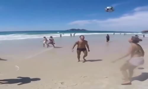 Sahilde Top Oynayan Köpek