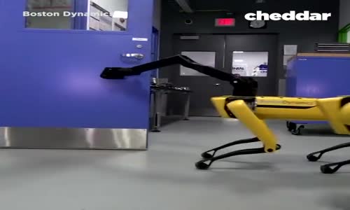 Köpek Robotlar Kapı Açmaya Başladılar