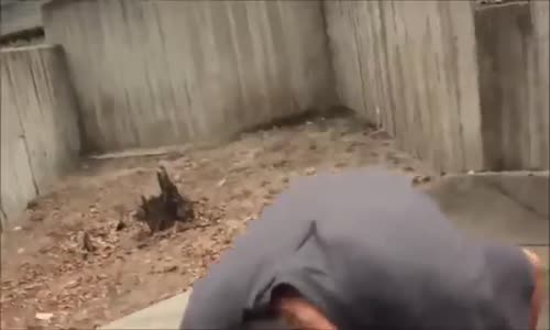 En Feci Parkur Kazaları +18 - Kalbine Güvenen İzlesin !!!