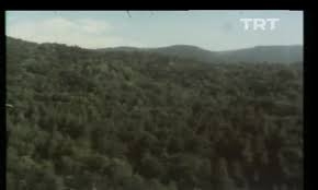 Bolu Gölcük Gölü İzle