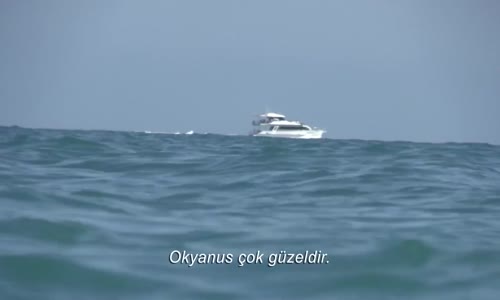 Açık Deniz - Kafes Dalışı Altyazılı Fragmanı 