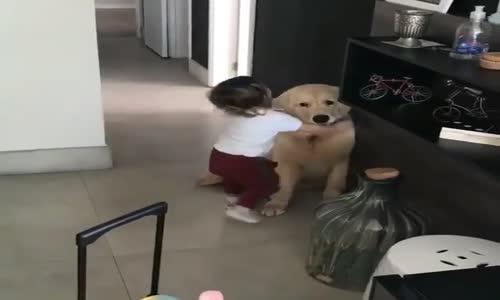 Bebeğin Köpeğiyle Vedalaşması