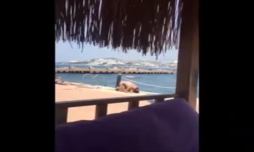  Bikiniyle Namaz Kılan Kadın