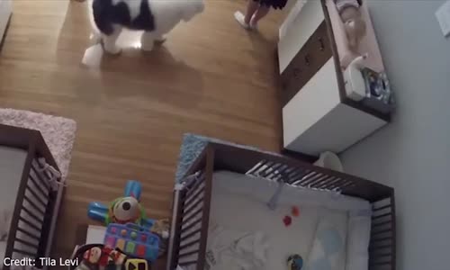 Helal Sana be , Komodinin Üzerinden Düşen 11 Aylık Kardeşini Havada Yakalayan Çocuk