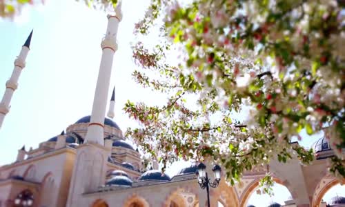 Mishari Rashid Al Afasy - Rahman