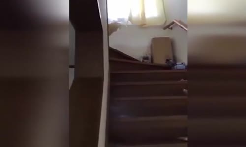 Ev Halkının Uykusunu Kaçıran Horoz