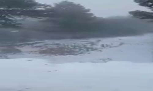 Çinlilerin Kar Sevinci 