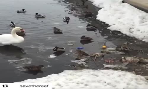 Bilinçsiz insanlar kirletiyor duyarlı canlılar temizliyor.