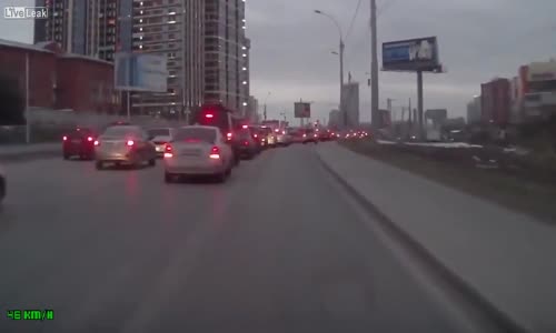 Trafikte Son Anda Ezilmekten Kurtulan Yavru Kedi