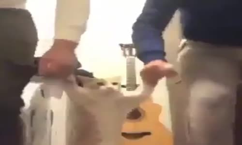 Kediye 2 Ayak üstünde Horon çeken yurdumun insanı