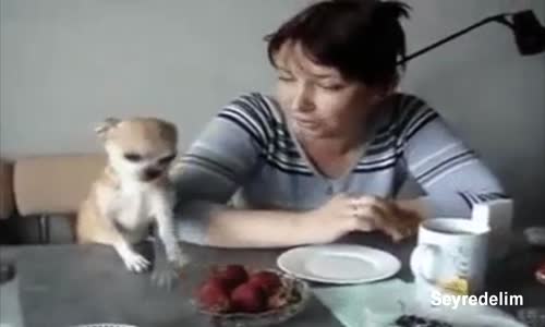 Haydi Güne Gülerek Başlayalım - 27