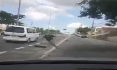 Yolda Menhole Düşen Şanssız Adam