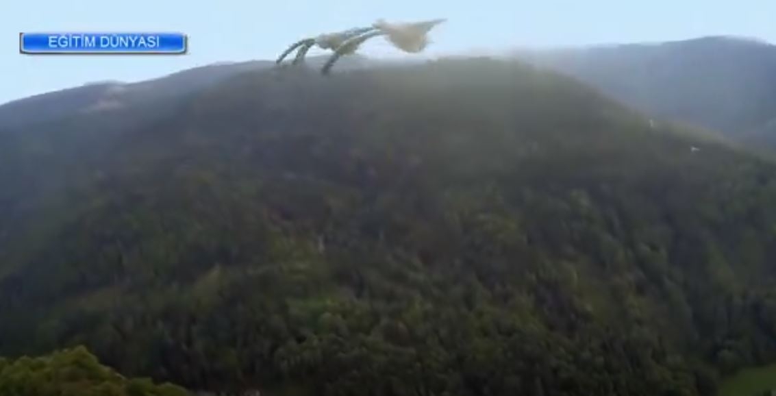 Göçmen Kuşların Gizli Rotaları (Belgesel)