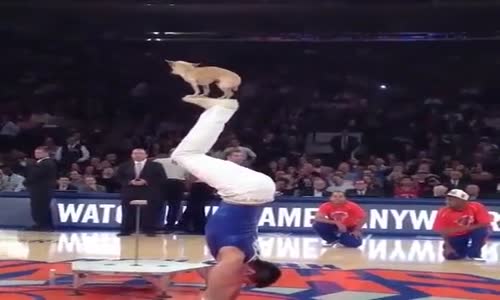 Basketbol Maçı Öncesi Güzel Bir Moral Show'u