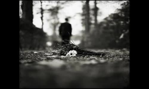 Ferdi Tayfur - İçim Yanar