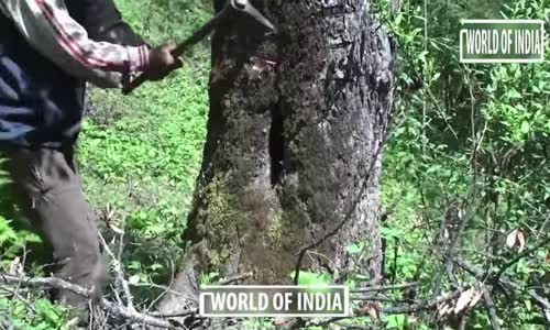 Dogal hakiki bal böyle olur