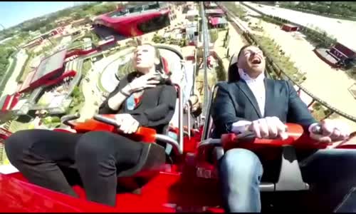Roller Coaster Üzerindeki Adama Çarpan Kuşun Hazin Sonu