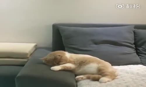 Uyuyup, Bisiklet Süren Minnoş