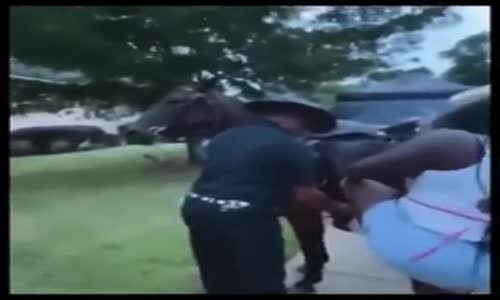 Kadının Ağırlığıyla İsyan Eden At 