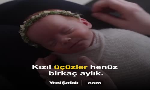 Kızıl Üçüzlerden Kartpostallık Görüntü