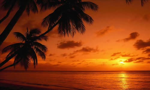 Bülent Ersoy - Sensiz Yaşamaya Alışacağım