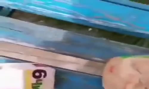 Hamburger Menüyü Beğenmeyen Köpek 