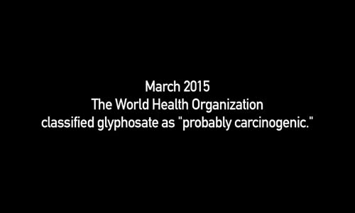 Genetically Modified Children