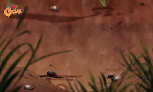 Maysa ve Bulut 20.Bölüm İzle