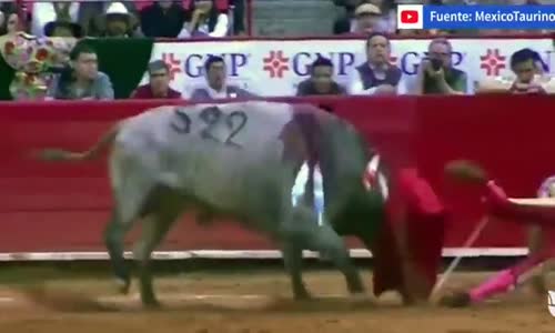 Matadoru Derinden Yaralayan Boğa