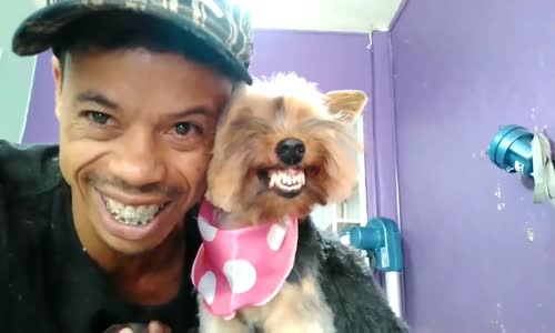 Kameraya Gülümseyen Köpek İle Adamın Uyumu