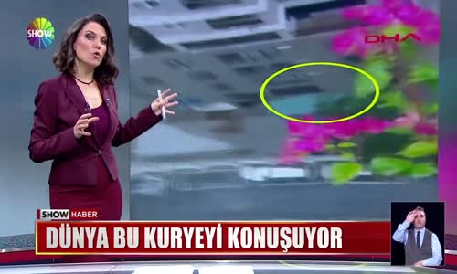 Dünya bu kuryeyi konuşuyor