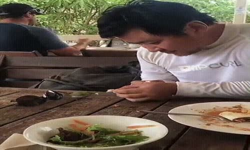 Yemek Masasında Kuş Besleyen Güzel İnsan