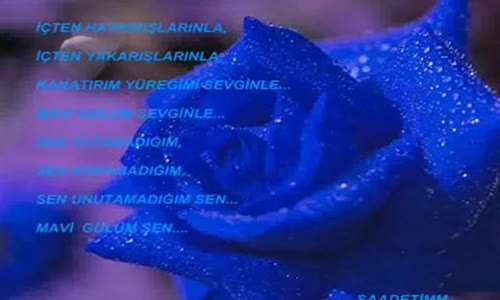 İbrahim Tatlıses - Seninle İlk Bakışmamız Varya