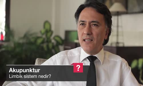 Limbik Sistem Nedir