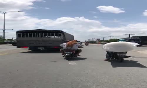 Omzunda Ve Önünde Köpekler İle Motosiklet Sürüşü