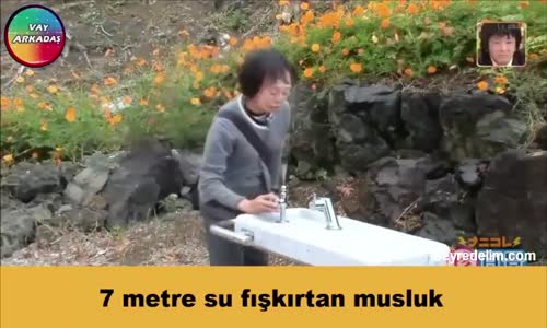 Abdest Aldıran Musluk