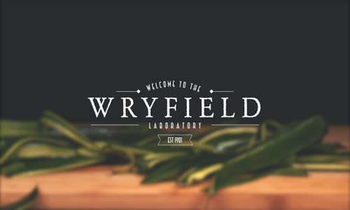 İzlemesi Aşırı Zevkli Şeylerde Bugün: Kabuklarından Yeniden Doğan Kabak