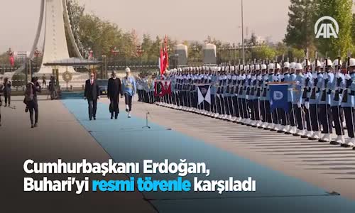 Cumhurbaşkanı  Üç Belediye Başkanımız İstifa Hazırlığı İçinde 