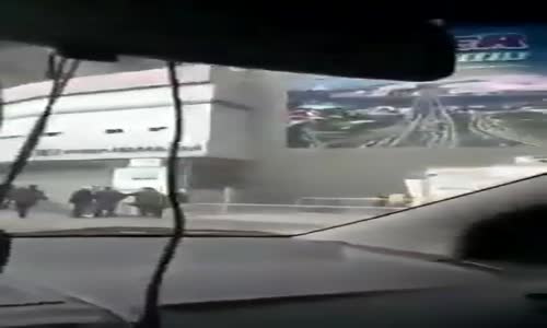 Büyünün Bozulması İçin Salavat Getiren Galatasaraylılar