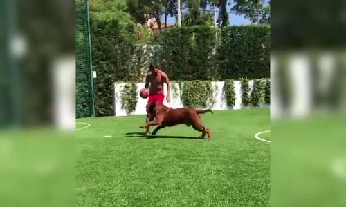 Messi Köpeğini de Çalım Manyağı Yaptı