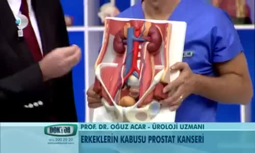 Prostat Nedir Ve Neden Büyür