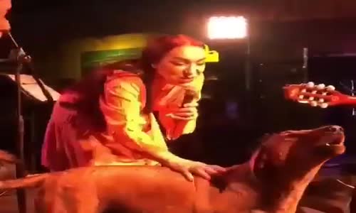 Leman Sam ile Düet Yapan Sokak Köpeği