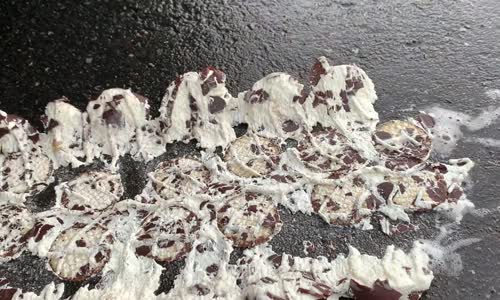 Araba - Sebze Testi # 141