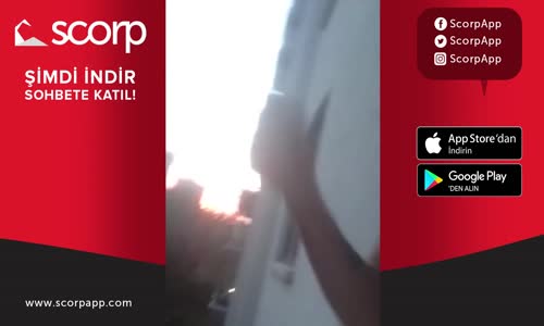 Küçükken Hayvanlara Yaptığımız Vahşetler-Scorp