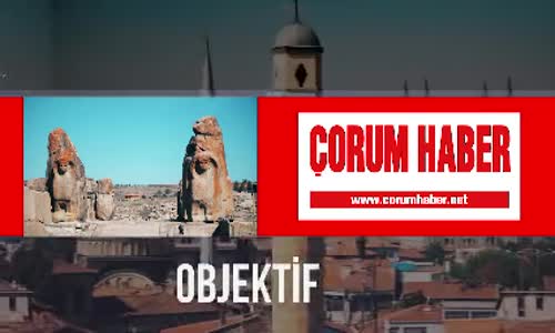 Çorum'da Aslan Avı