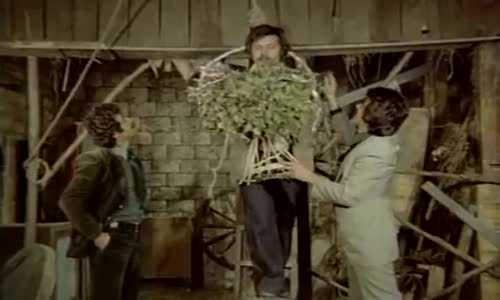 Tamer Yiğit Öbür Dünyaya Çiçeğin De Hazır