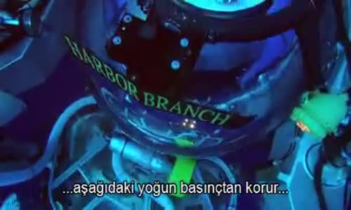 900 Metre Derinde Yaşayan Garip Yaratıklar - BBC - Video 