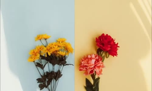 Ah Be Aysel Full Libido Melek Mosso